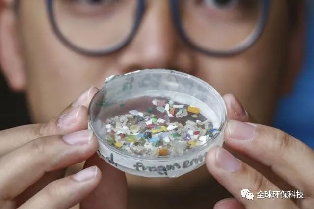 關(guān)于“微塑料”的危害，你了解多少？